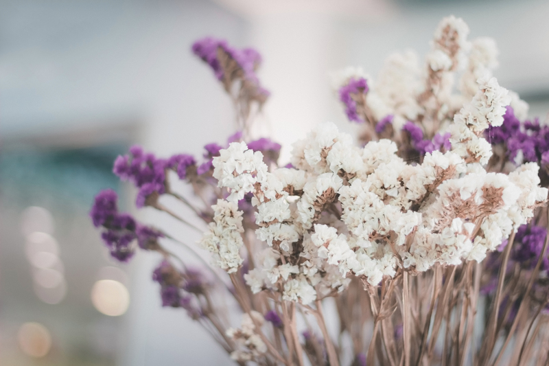 ''Ο μόνος άνθρωπος που είναι πραγματικά μορφωμένος είναι εκείνος που έχει μάθει πώς να μαθαίνει και πώς να αλλάζει.'' Carl Rogers, 1902-1987, Αμερικανός Ψυχολόγος